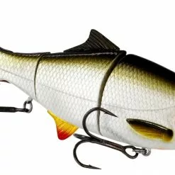Westin Fishing Westin Ricky The Roach (HL/SB) 15 Cm 40 G